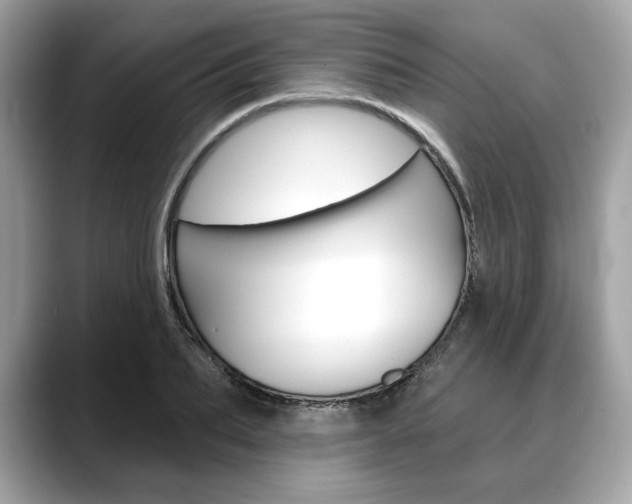 X0000088690887200705310956