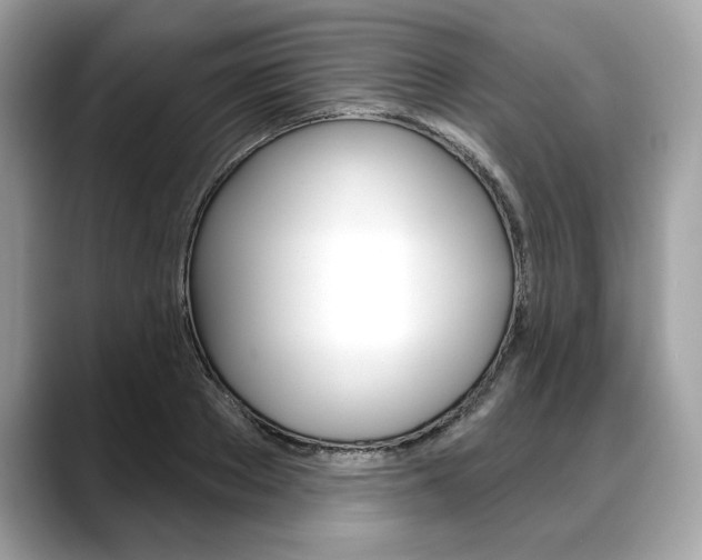 X0000088690889200705310956