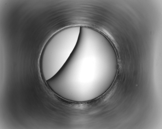 X0000088690891200705310956