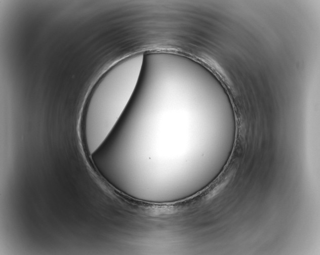X0000088690893200705310956