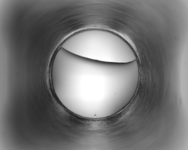 X0000088690895200705310956