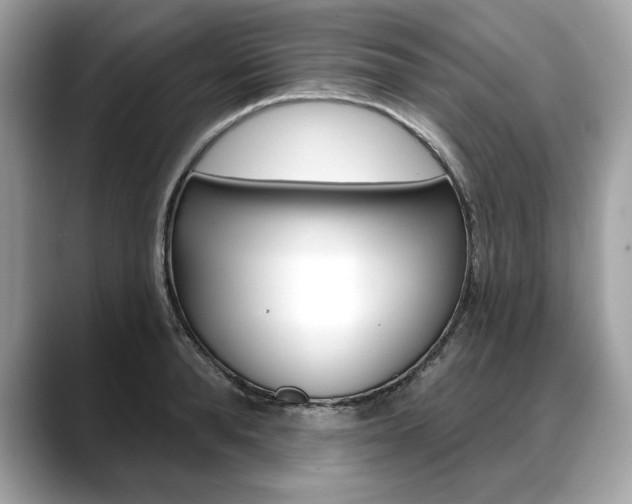 X0000088690896200705310956