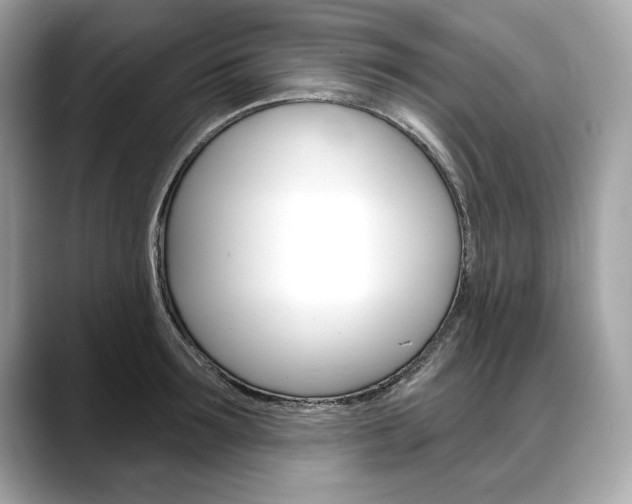X0000088690899200705310956