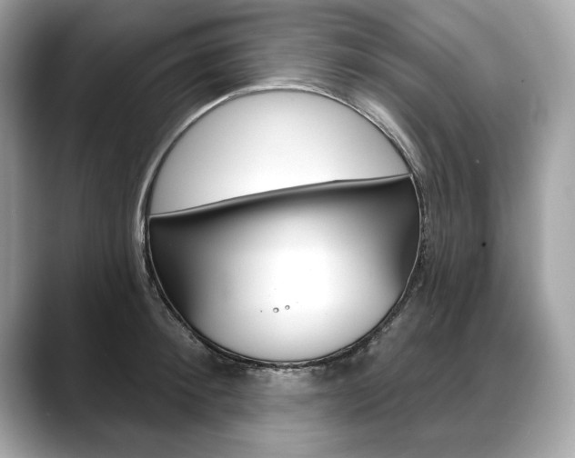 X0000088690900200705310956