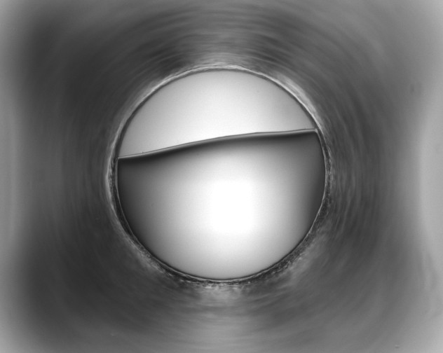 X0000088690901200705310956