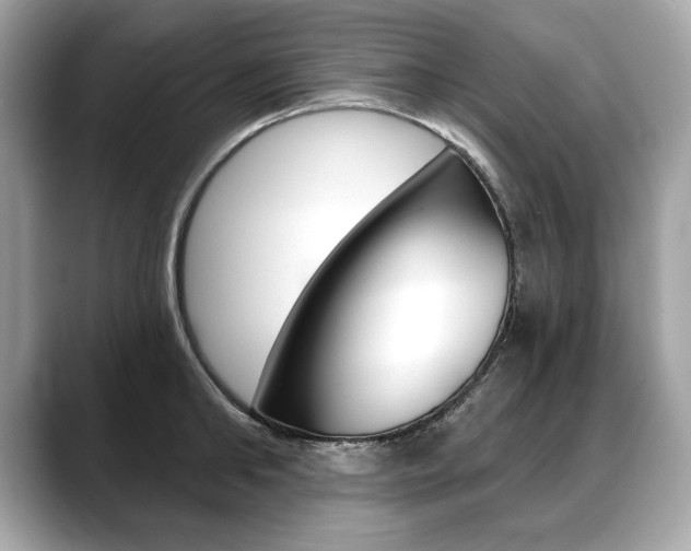 X0000088690902200705310956