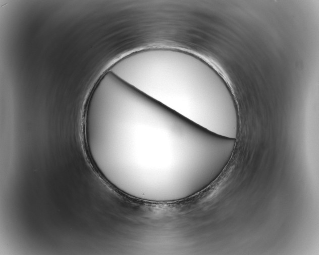 X0000088690903200705310956