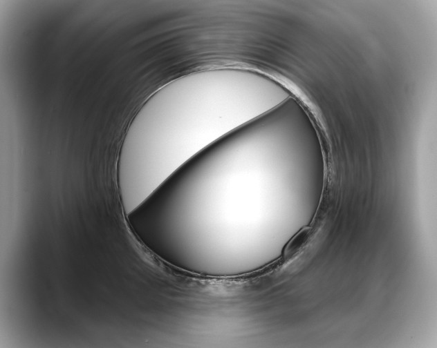 X0000088690905200705310955