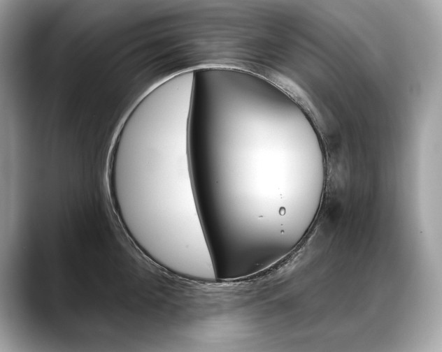 X0000088690908200705310955