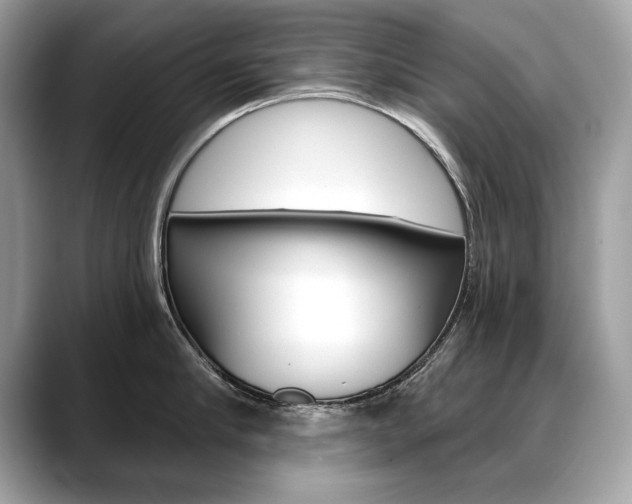 X0000088690910200705310955