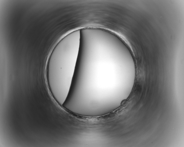 X0000088690911200705310955