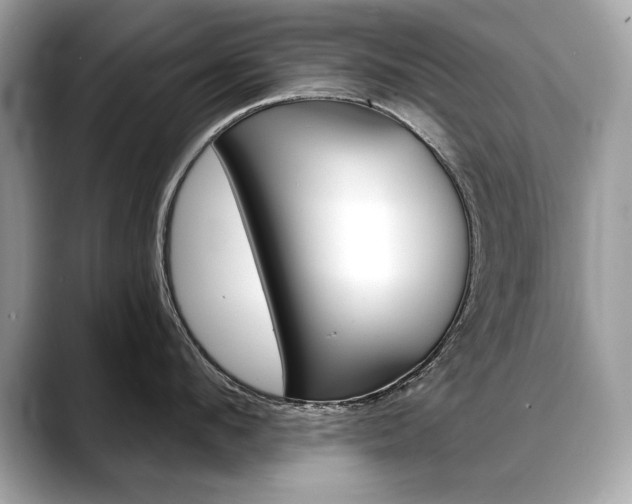 X0000088690912200705310955