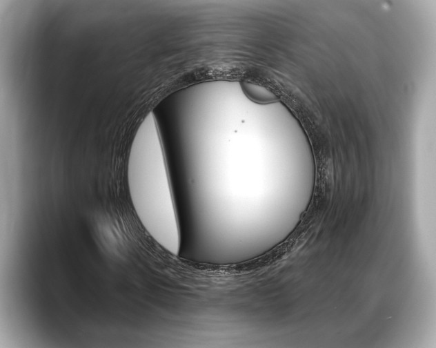 X0000088690914200705310955