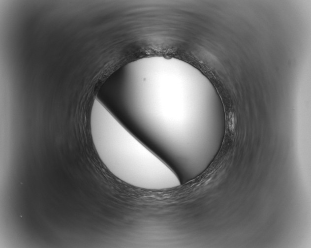 X0000088690915200705310955
