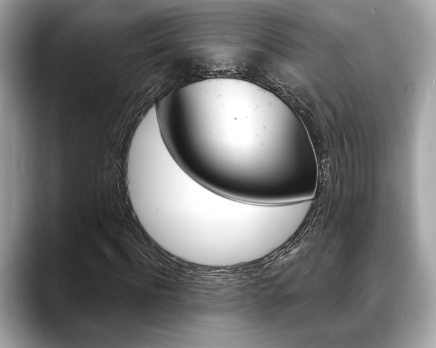 X0000088690916200705310955