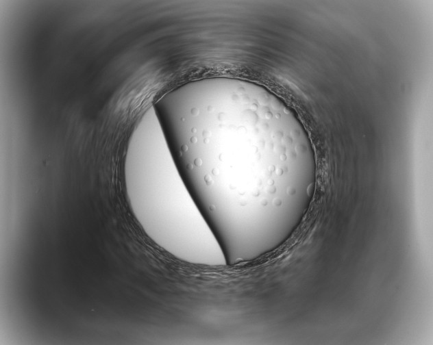 X0000088690917200705310955