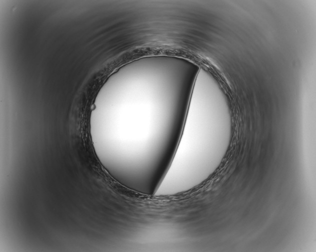 X0000088690919200705310955