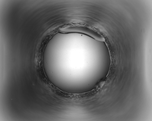 X0000088690920200705310955