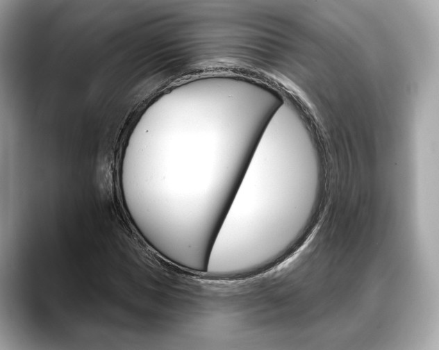 X0000088690921200705310955