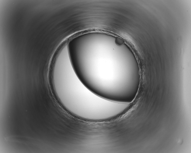 X0000088690924200705310955