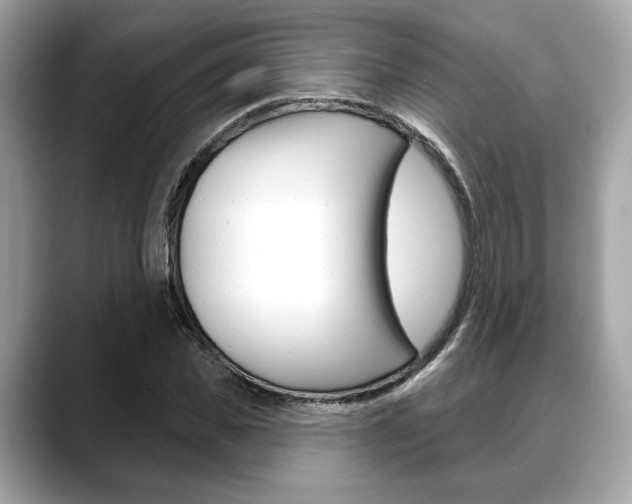X0000088690925200705310955