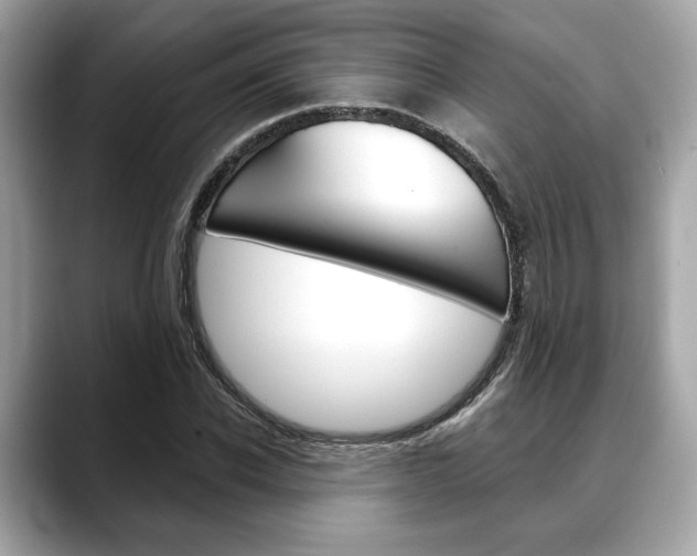 X0000088690926200705310955