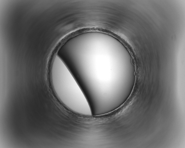 X0000088690927200705310955