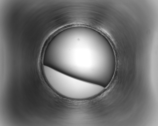X0000088690928200705310955