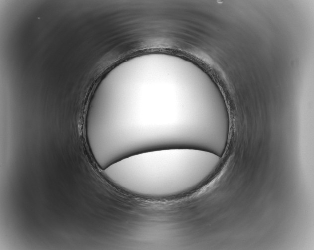 X0000088690929200705310955