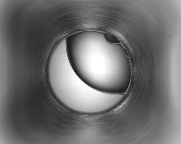 X0000088690930200705310955
