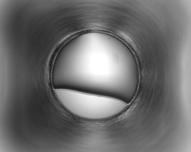 X0000088690931200705310955
