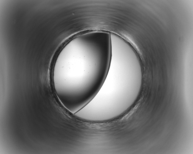 X0000088690932200705310955