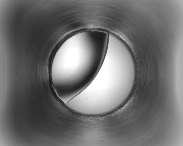 X0000088690934200705310955