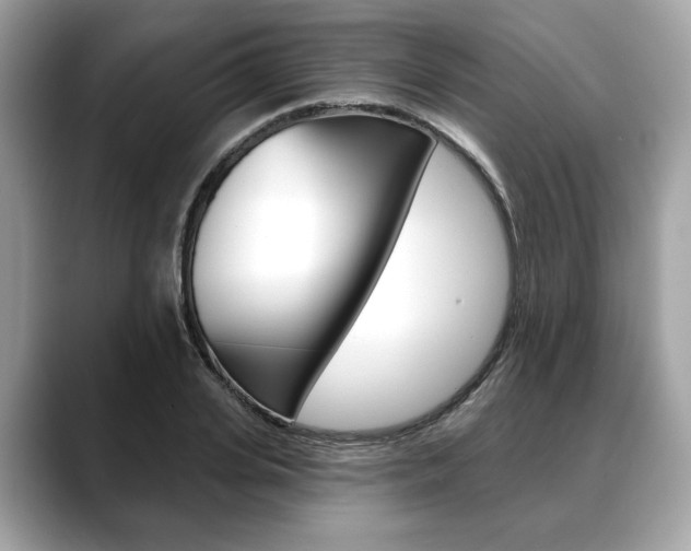 X0000088690935200705310955