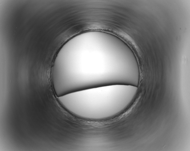 X0000088690937200705310955