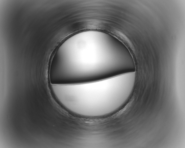 X0000088690938200705310955