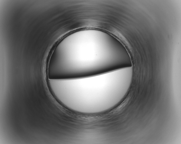 X0000088690939200705310955