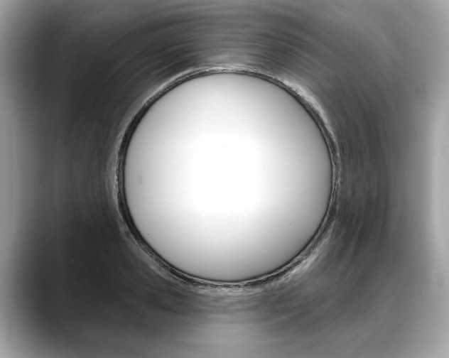 X0000088690941200705310955
