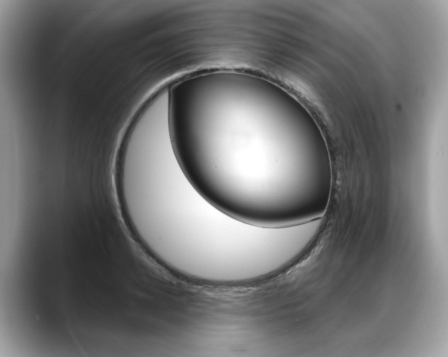 X0000088690942200705310955