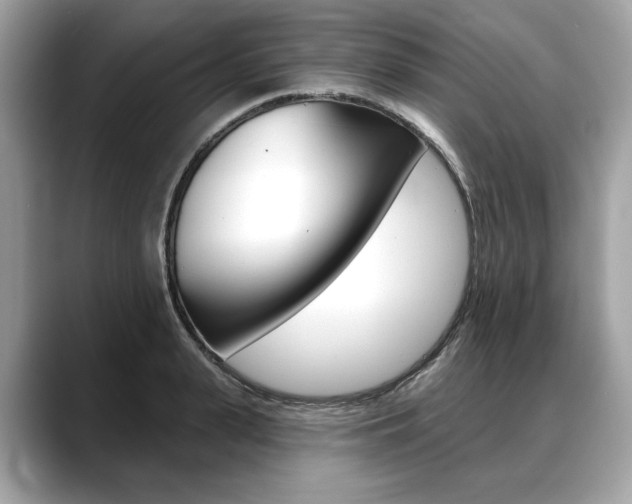 X0000088690943200705310955