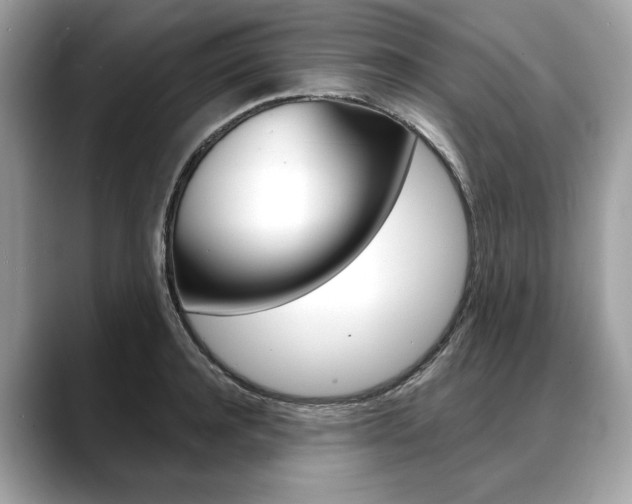 X0000088690944200705310955