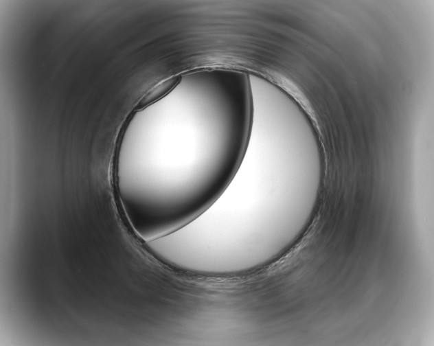 X0000088690946200705310955