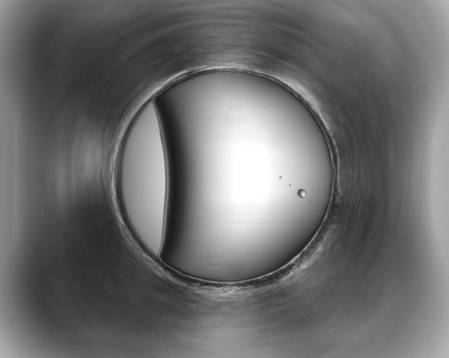 X0000088690949200705310955