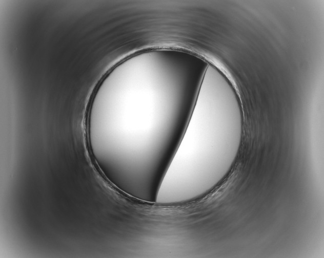 X0000088690951200705310955