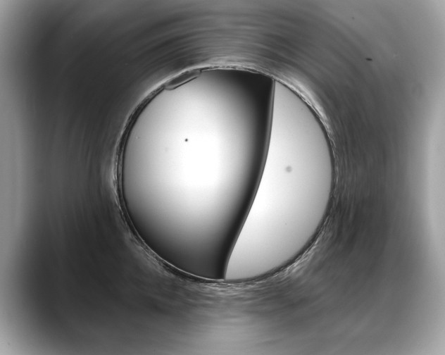 X0000088690952200705310955
