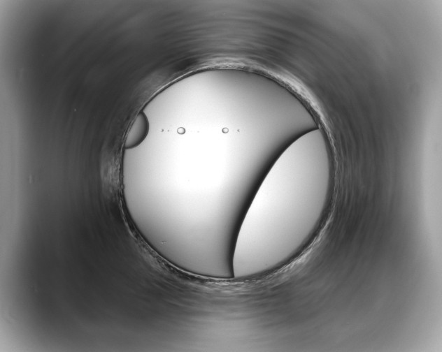 X0000088690953200705310955