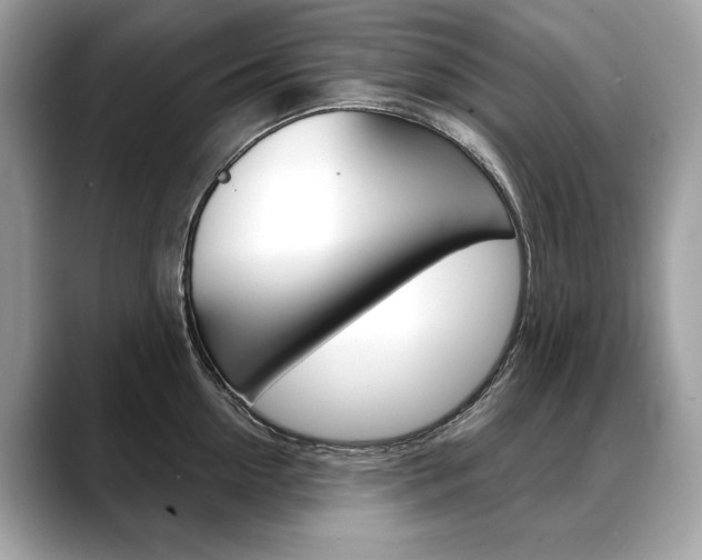 X0000088690954200705310955
