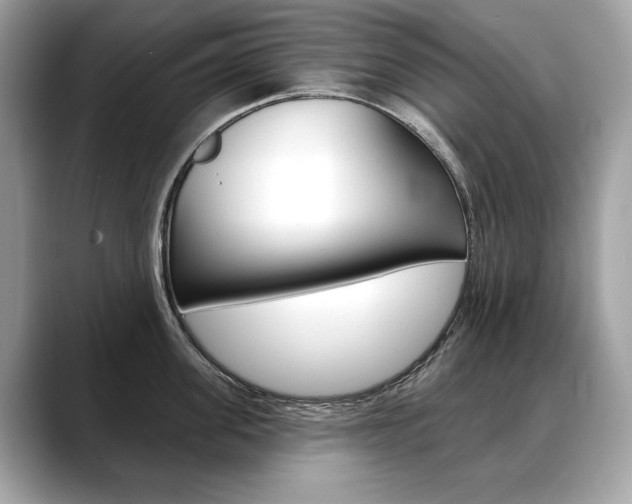 X0000088690955200705310955