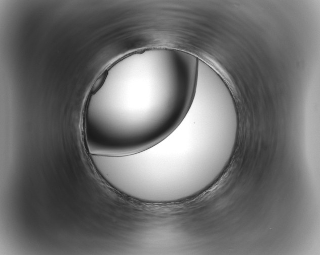 X0000088690956200705310955