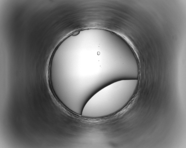 X0000088690957200705310955